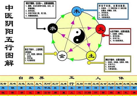 智的五行|智的五行属什么